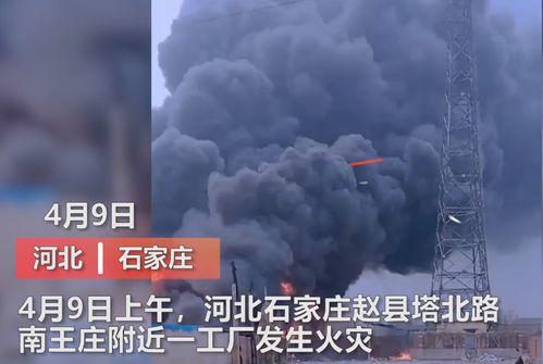 石家庄工厂爆料视频大全,揭秘生产一线真实面貌